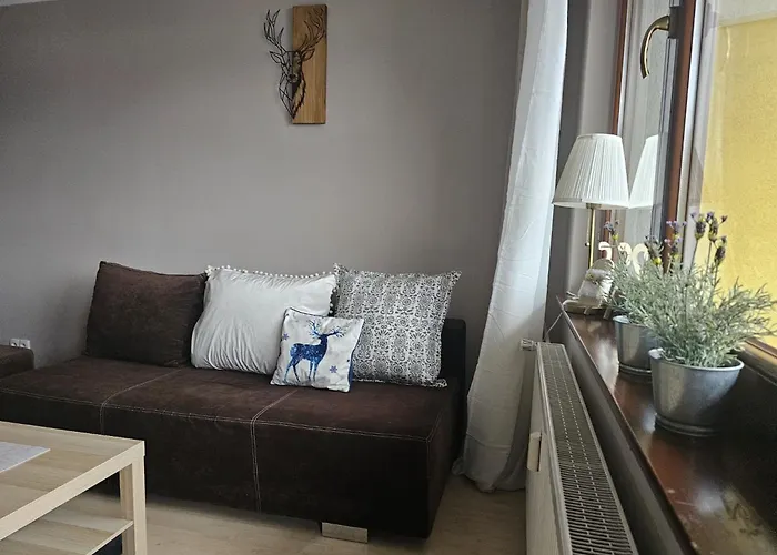 Zosia Przy Krupówkach Apartzakop Apartament