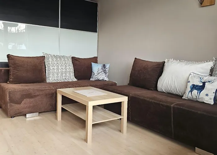 Zosia Przy Krupówkach Apartzakop Zakopane