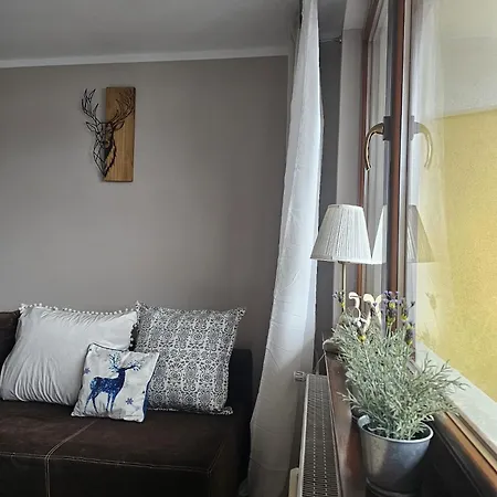 Zosia Przy Krupowkach Apartzakop Апартаменти *