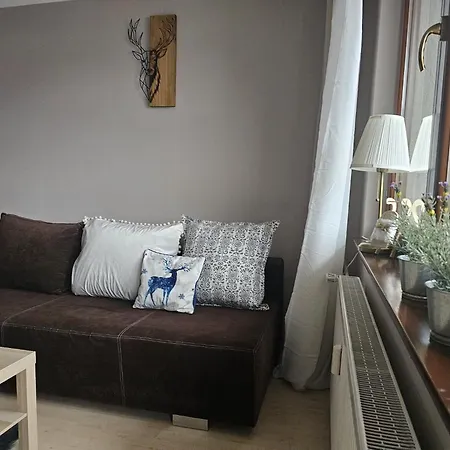 Zosia Przy Krupowkach Apartzakop Апартаменти